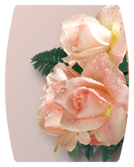 DAREC-062 Bouquet Of Roses Peach